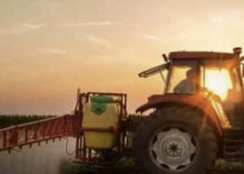 STJ reafirma que preferência na compra de imóvel rural exige exploração agrícola direta