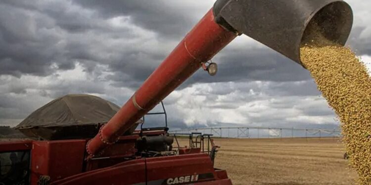 Safra perdida leva Justiça a suspender cobrança de dívida rural