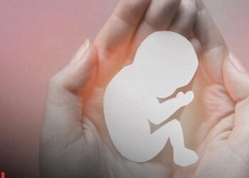 STF não possui legitimidade para avançar sobre a descriminalização do aborto