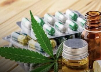 STJ revisita competência judicial para ações sobre produtos à base de cannabis